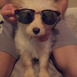 Meet your Posher, Anthony